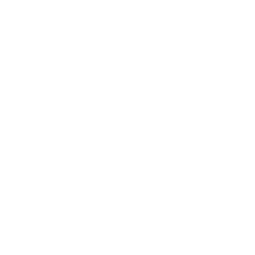 zirkus-schwerin.de